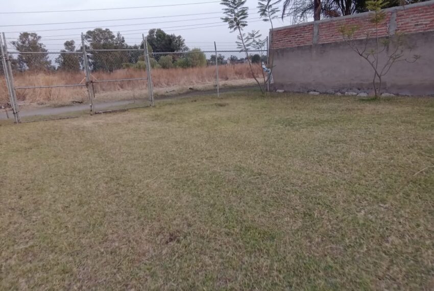 WhatsApp Image 2025-02-14 at 9.22.12 AM (2)