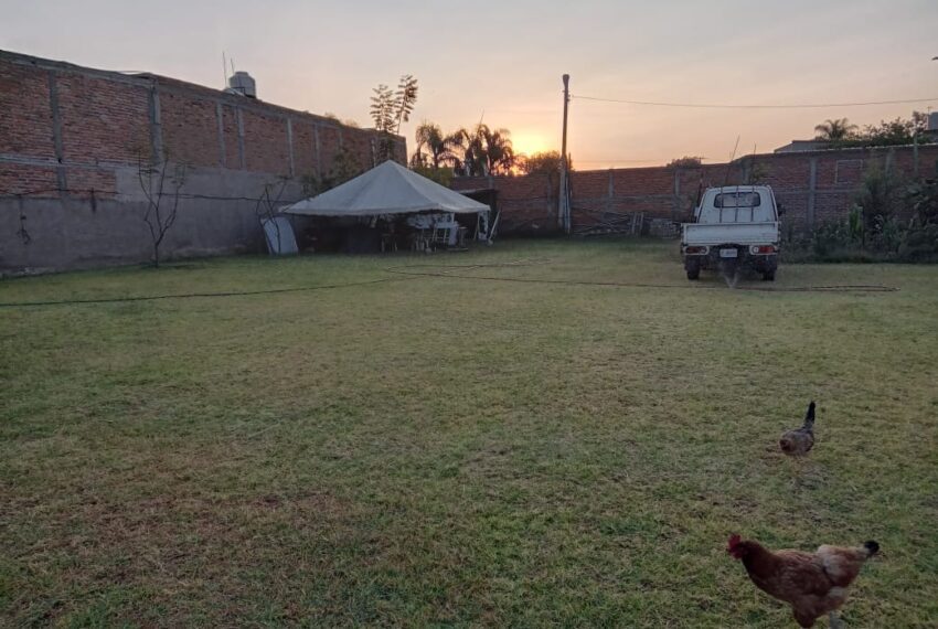 WhatsApp Image 2025-02-14 at 9.22.13 AM (2)