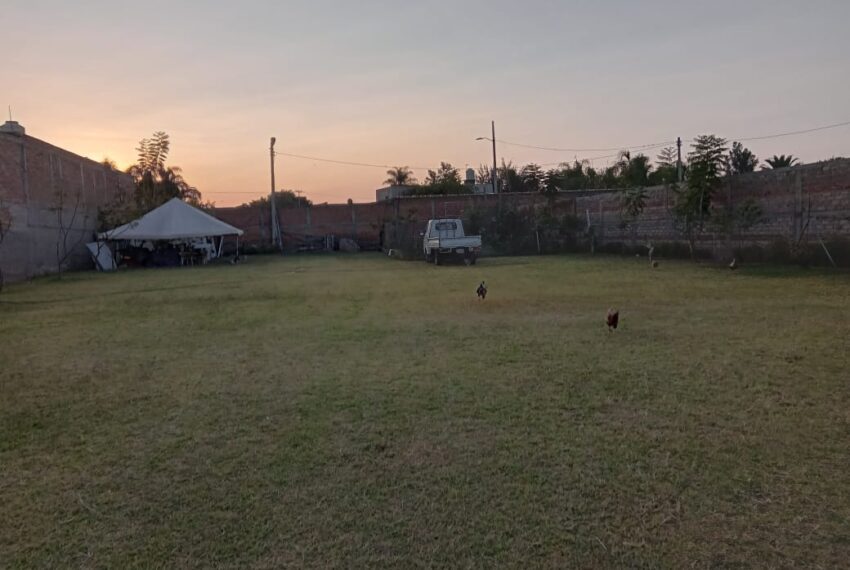 WhatsApp Image 2025-02-14 at 9.22.13 AM (3)