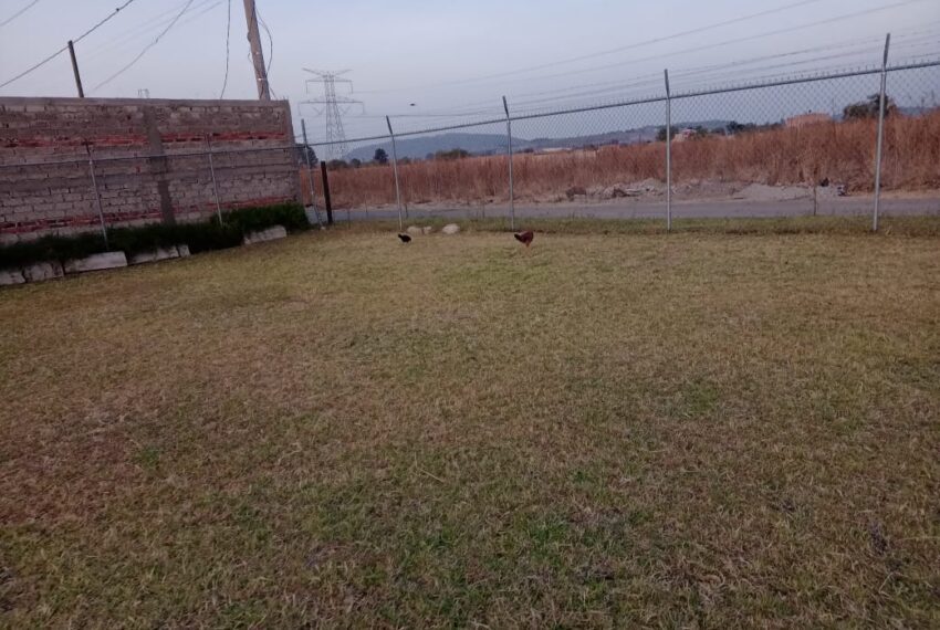 WhatsApp Image 2025-02-14 at 9.22.13 AM