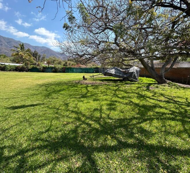 WhatsApp Image 2026-04-20 at 1.42.01 PM (1)