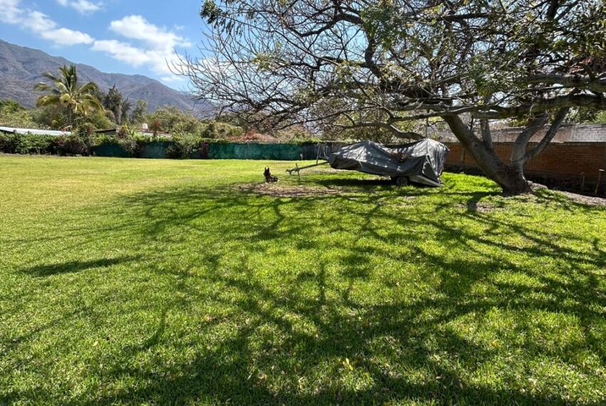 WhatsApp Image 2026-04-20 at 1.42.01 PM (1)