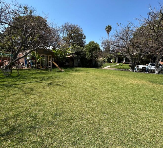 WhatsApp Image 2026-04-20 at 1.42.01 PM (2)